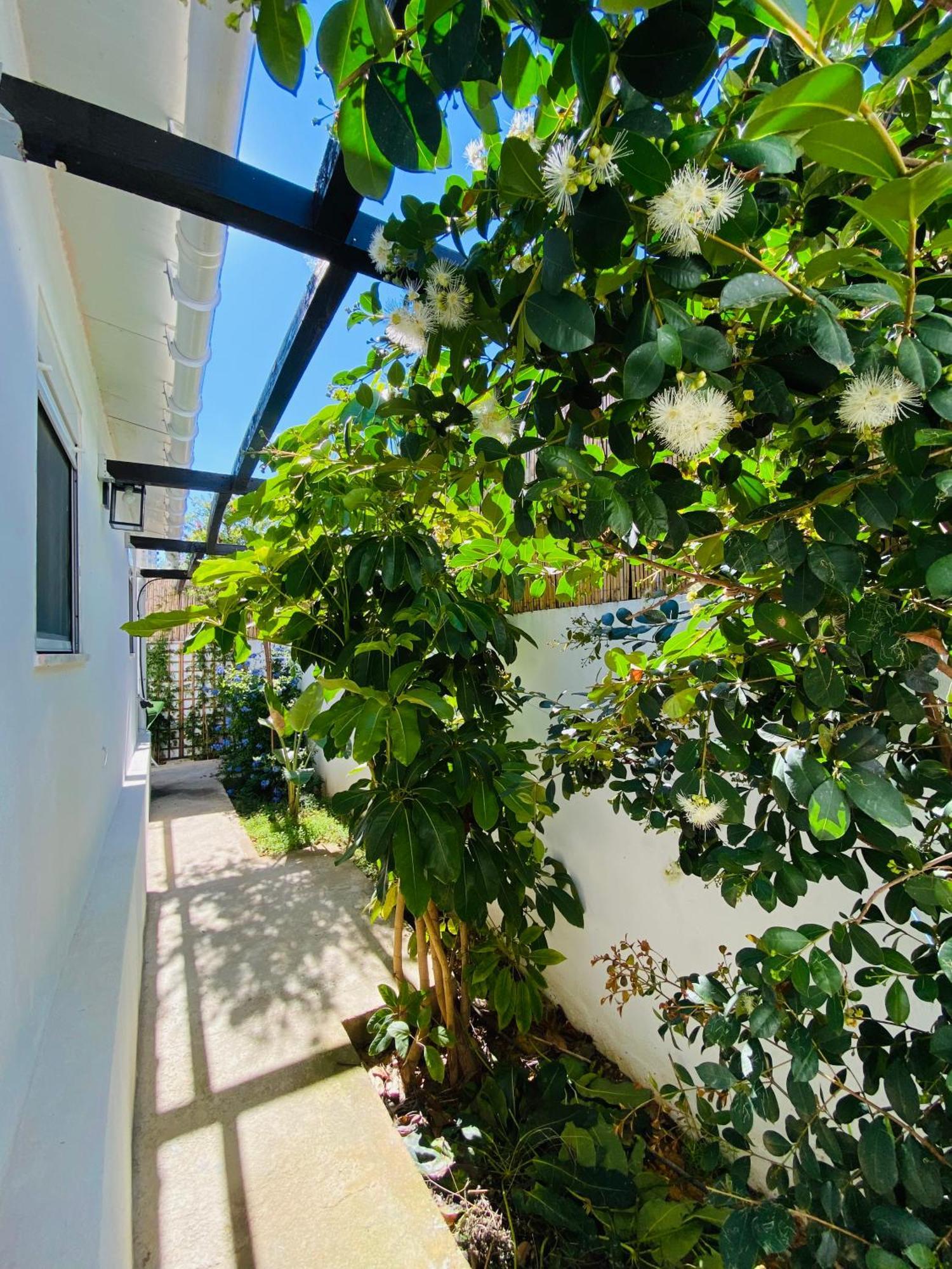 Villa Gem Of Viso Setúbal Esterno foto
